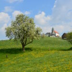 Einblicke: Kollmitzberger Kirche