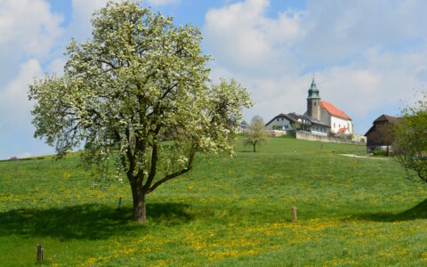 Einblicke: Kollmitzberger Kirche